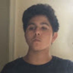 Meet your Posher, Dino